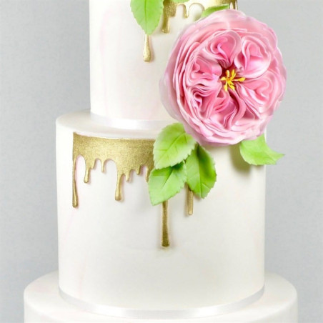 diseño-de-pastel-gateau-dip'n-drip